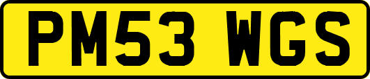 PM53WGS