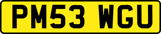 PM53WGU