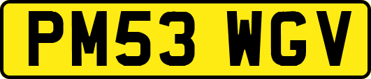 PM53WGV