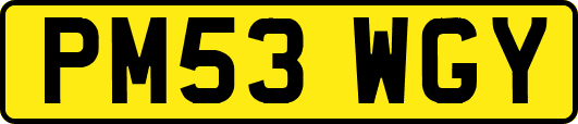 PM53WGY