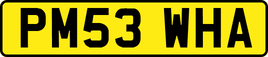 PM53WHA