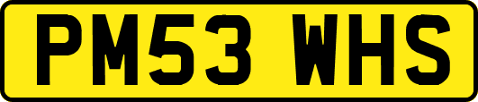 PM53WHS
