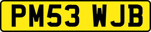 PM53WJB