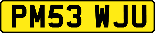 PM53WJU