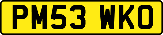 PM53WKO