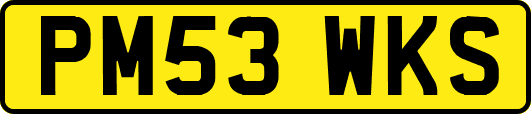 PM53WKS