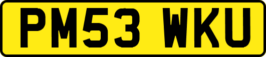 PM53WKU