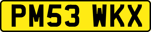 PM53WKX