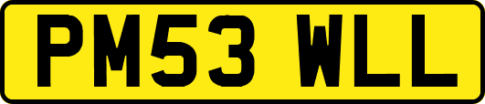 PM53WLL