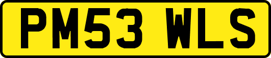 PM53WLS