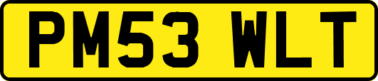 PM53WLT