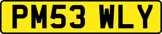 PM53WLY
