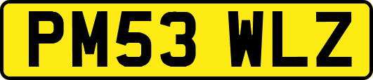 PM53WLZ