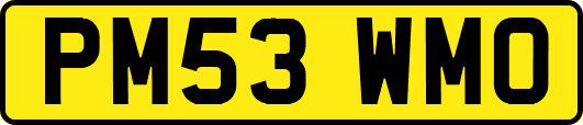 PM53WMO