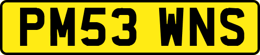 PM53WNS