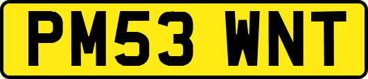 PM53WNT