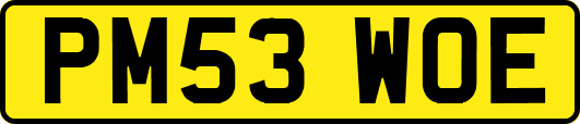PM53WOE
