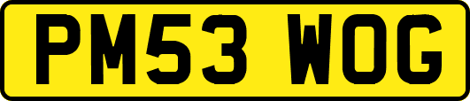 PM53WOG