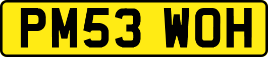 PM53WOH