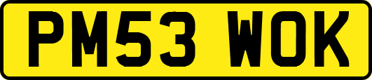 PM53WOK