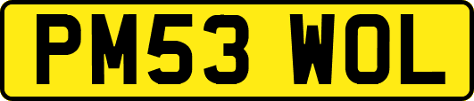 PM53WOL
