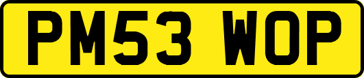 PM53WOP
