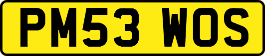 PM53WOS