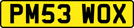 PM53WOX