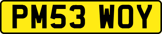 PM53WOY