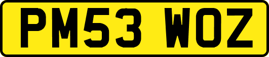 PM53WOZ