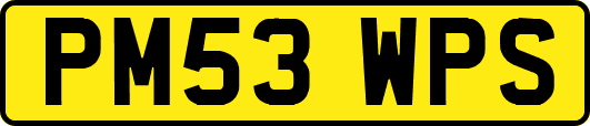 PM53WPS