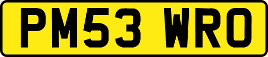 PM53WRO