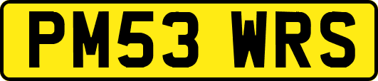PM53WRS