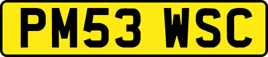 PM53WSC
