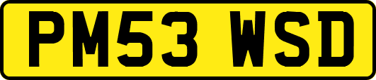 PM53WSD