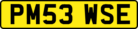 PM53WSE