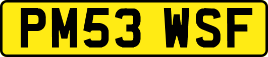 PM53WSF