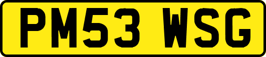 PM53WSG