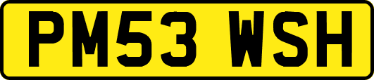 PM53WSH