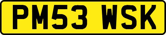 PM53WSK