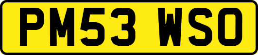 PM53WSO