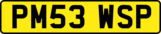 PM53WSP