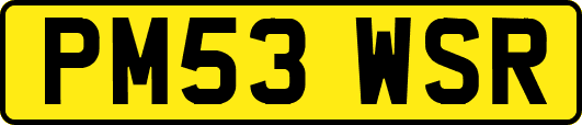 PM53WSR