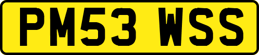 PM53WSS