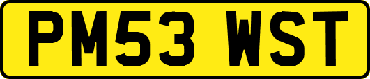 PM53WST