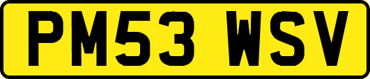 PM53WSV