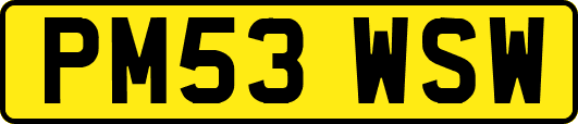 PM53WSW