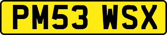 PM53WSX