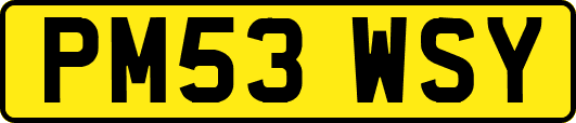 PM53WSY