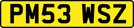PM53WSZ